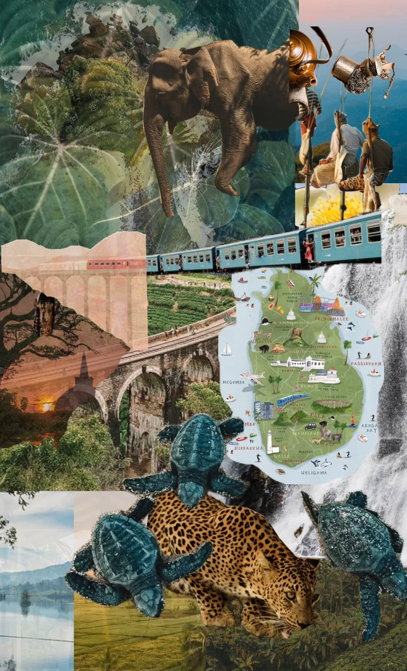 Let’s Start Planning Your Trip